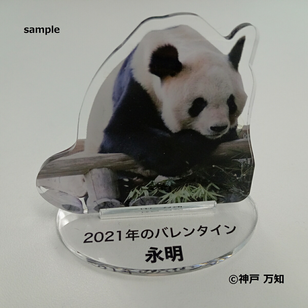 �ڳ�ŷ�֥å���������ŵ�ۤ��ä��繥�������㤵��ѥ������������ɥ٥���㡼���ɡ��Ͳȡפ��ۤ������������ѥ������(2021ǯ�ΥХ�󥿥������6cm��6cm������������륹�����)[��������]