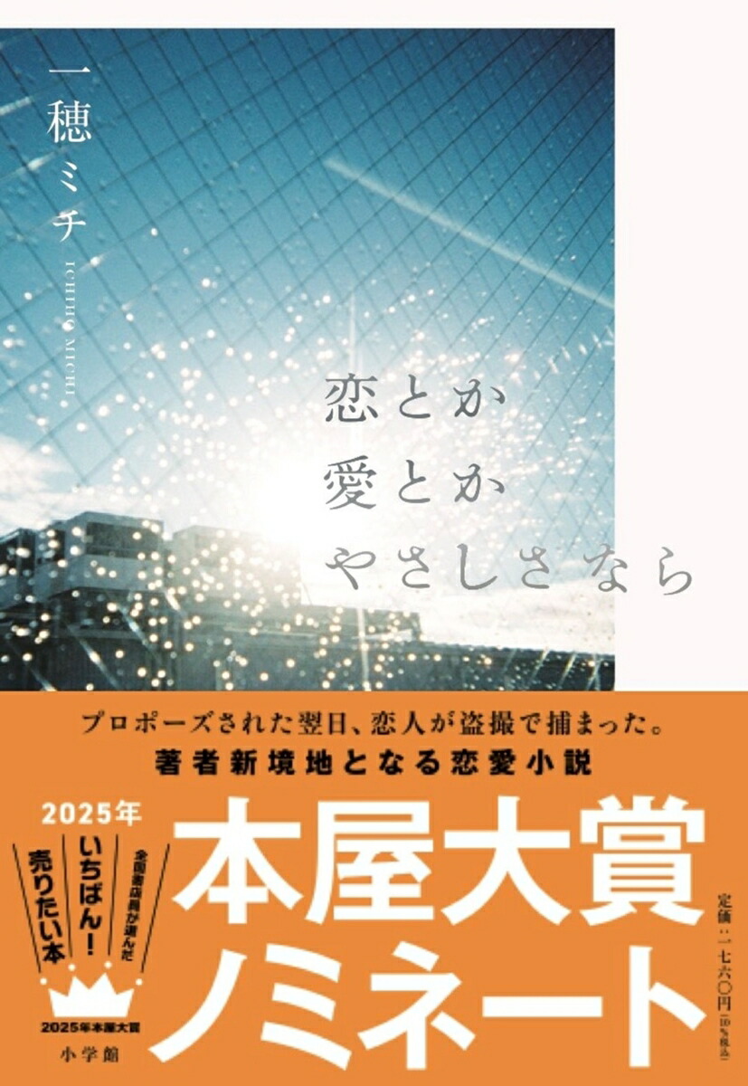 盗幻鏡　少女盗撮 