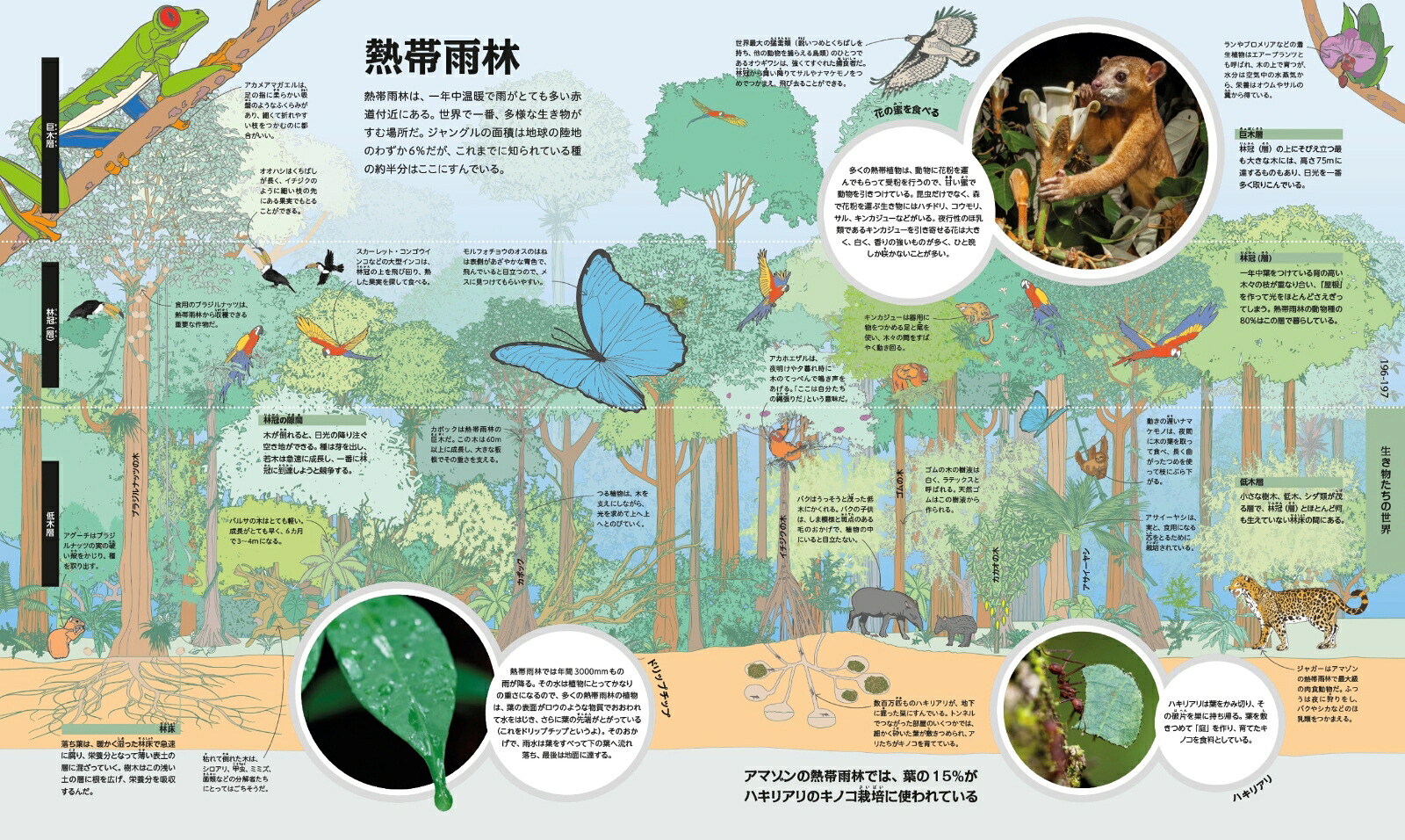 楽天ブックス: みのまわりの ありとあらゆるしくみ図解 - DK社 - 9784487817405 : 本