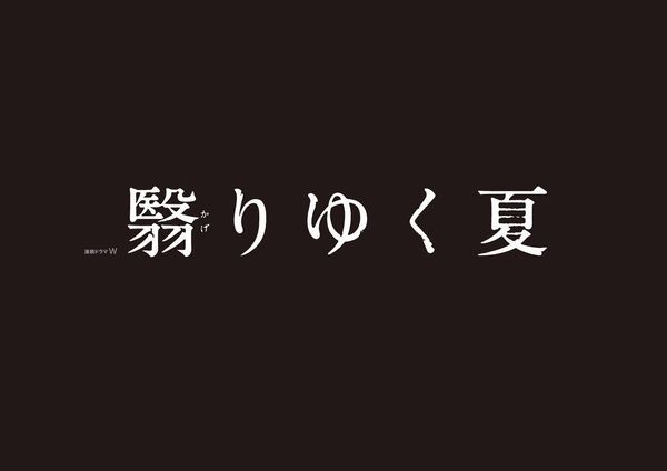 連続ドラマW翳りゆく夏[渡部篤郎]