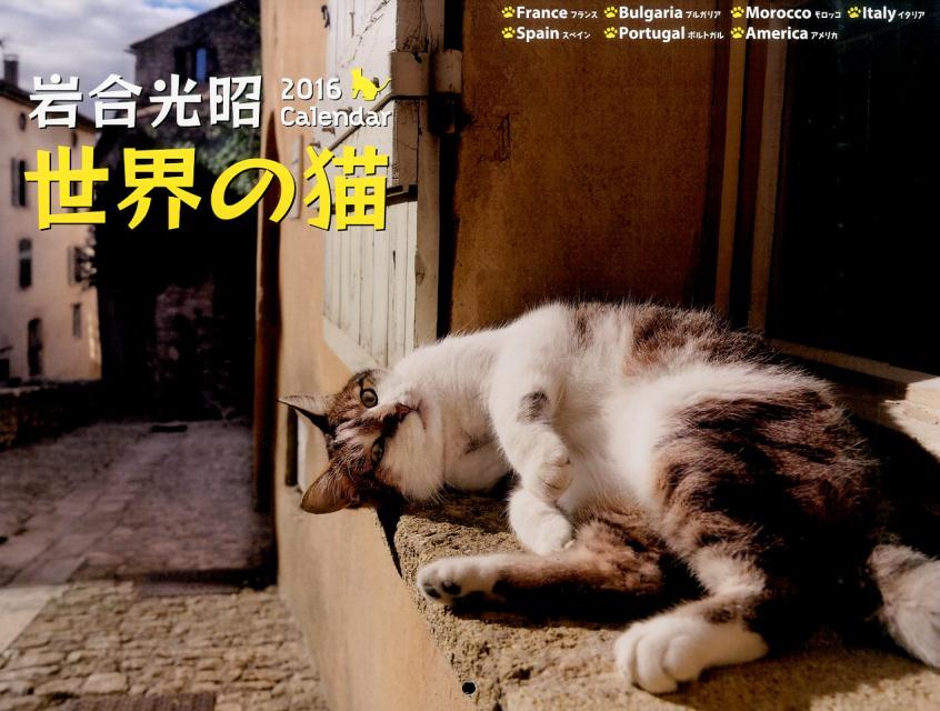 楽天ブックス 世界の猫カレンダー 2016 岩合光昭