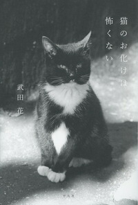 楽天ブックス 猫のお化けは怖くない 武田 花 本