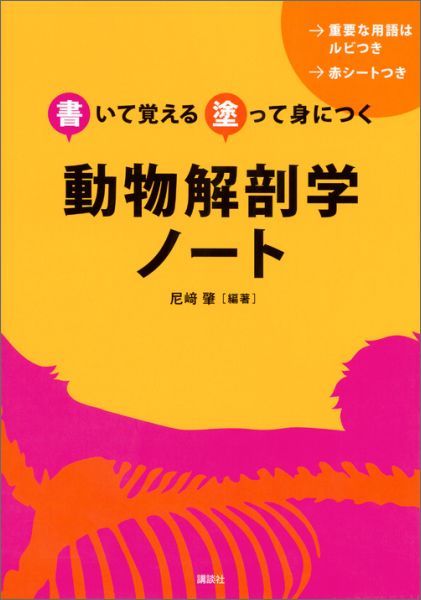 楽天ブックス: 書いて覚える 塗って身につく 動物解剖学ノート - 尼崎