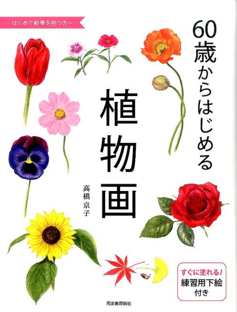 楽天ブックス 60歳からはじめる植物画 高橋 京子 本