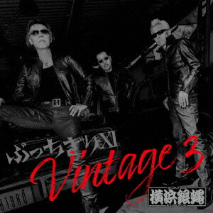 仏恥義理 前夜祭 DVD 横浜銀蠅30周年記念ライブ 仏恥義理 前夜祭 DVD 横浜銀蠅30周年記念ライブ Amazon.co.jp: 仏