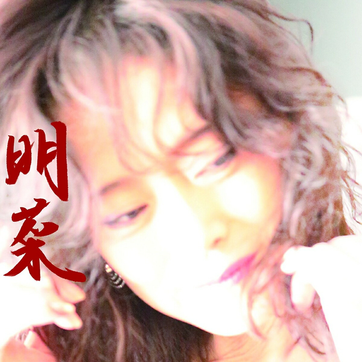 chemsbro.com - 中森明菜／フォーク・ソング 〜 歌姫抒情歌 (限定盤