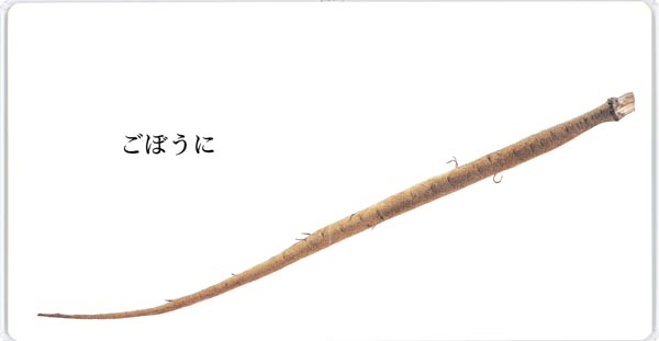 ˤ󤸤0.1.2.ۤ[YWCAΤҤɤ޽]