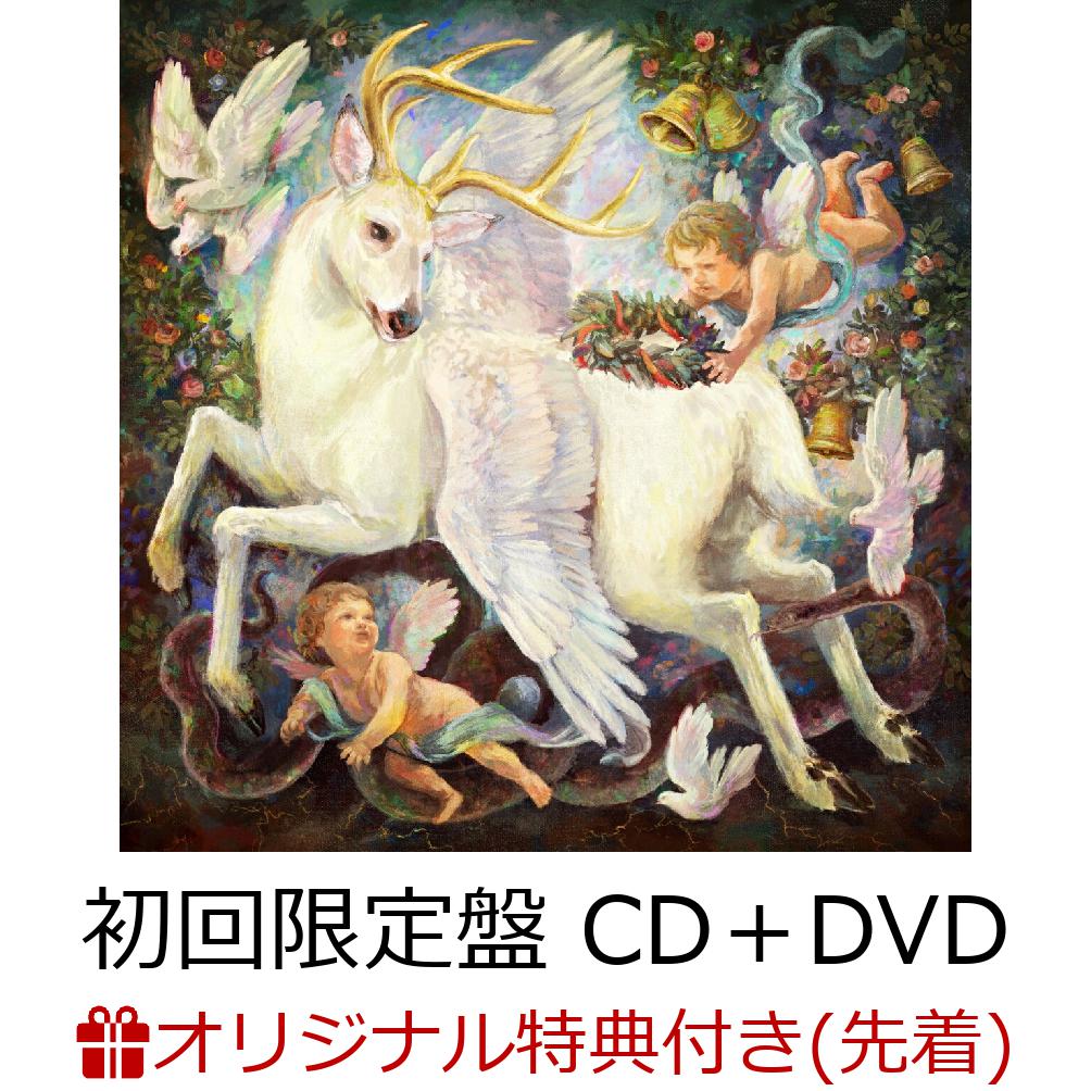 初回限定【楽天ブックス限定先着特典】Soranji (初回限定盤 CD＋DVD)(ステッカーシート(A6サイズ))