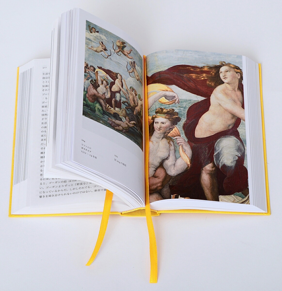 ���Ѥ�ʪ��ݥ��å���[����󥹥ȡ�H������֥�å�]