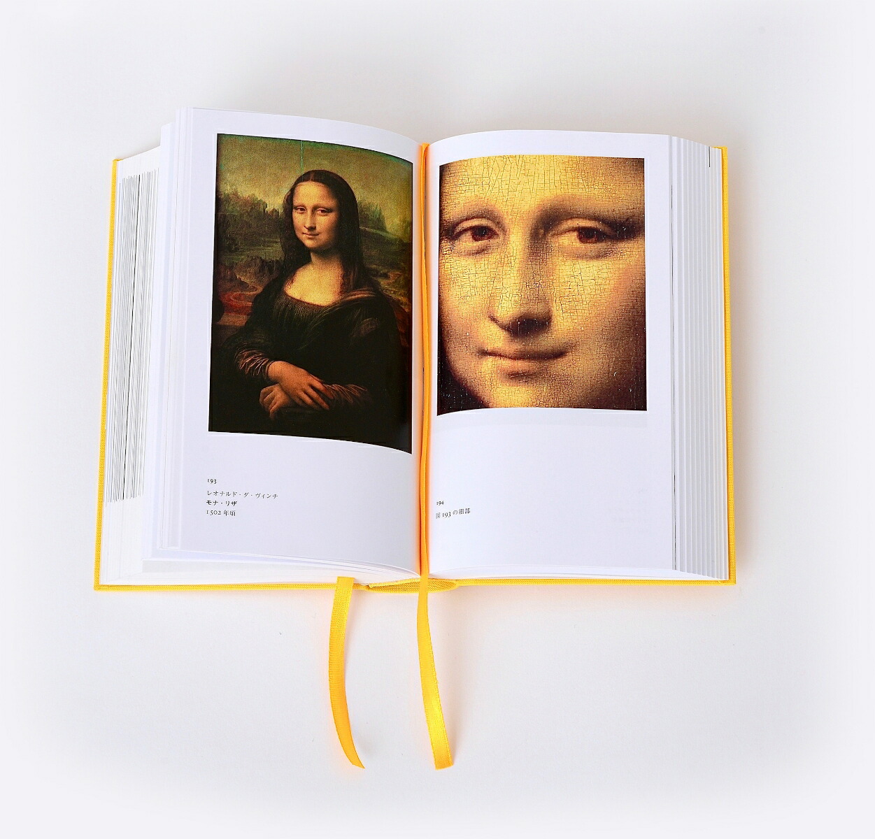 ���Ѥ�ʪ��ݥ��å���[����󥹥ȡ�H������֥�å�]