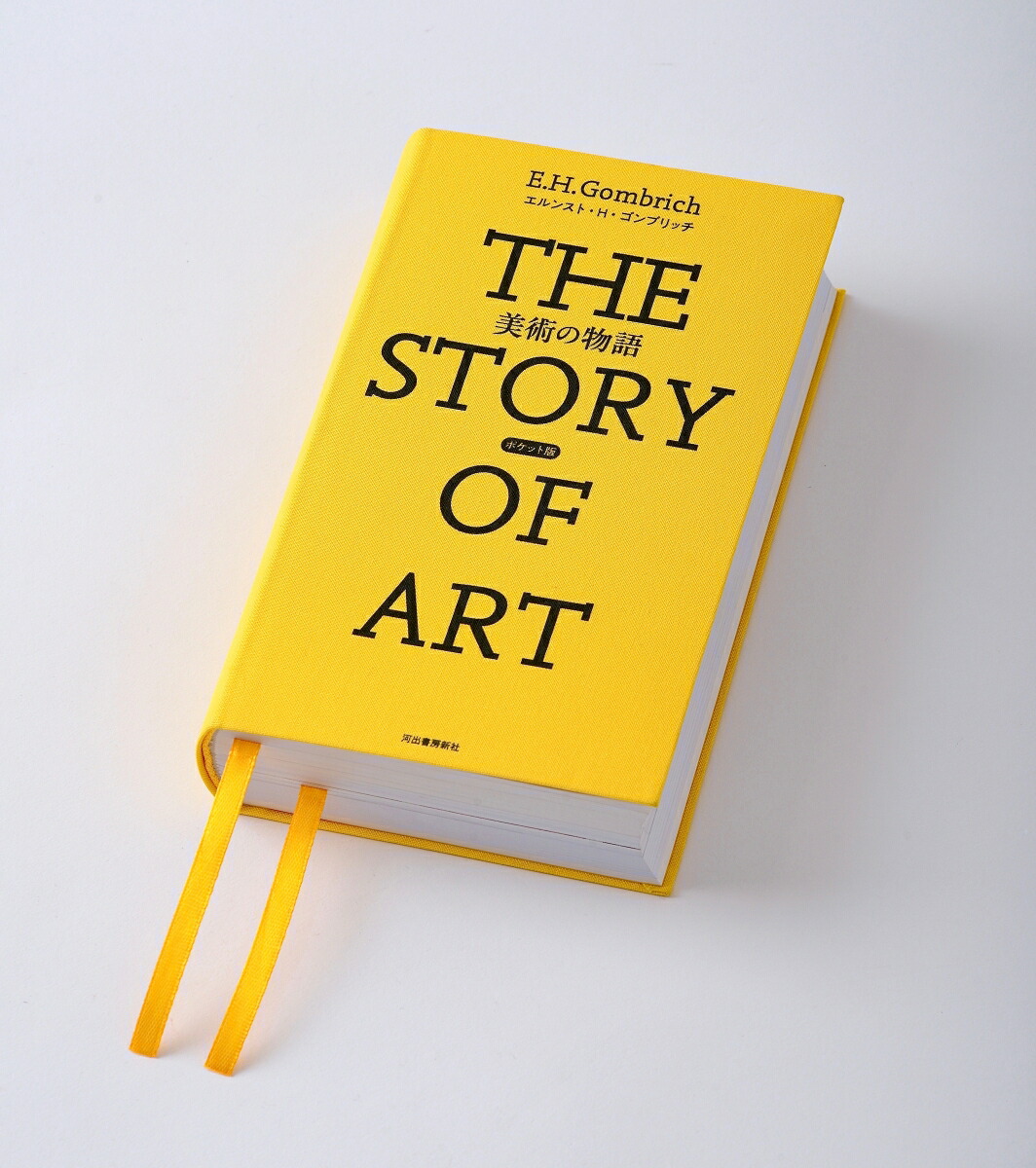 ���Ѥ�ʪ��ݥ��å���[����󥹥ȡ�H������֥�å�]