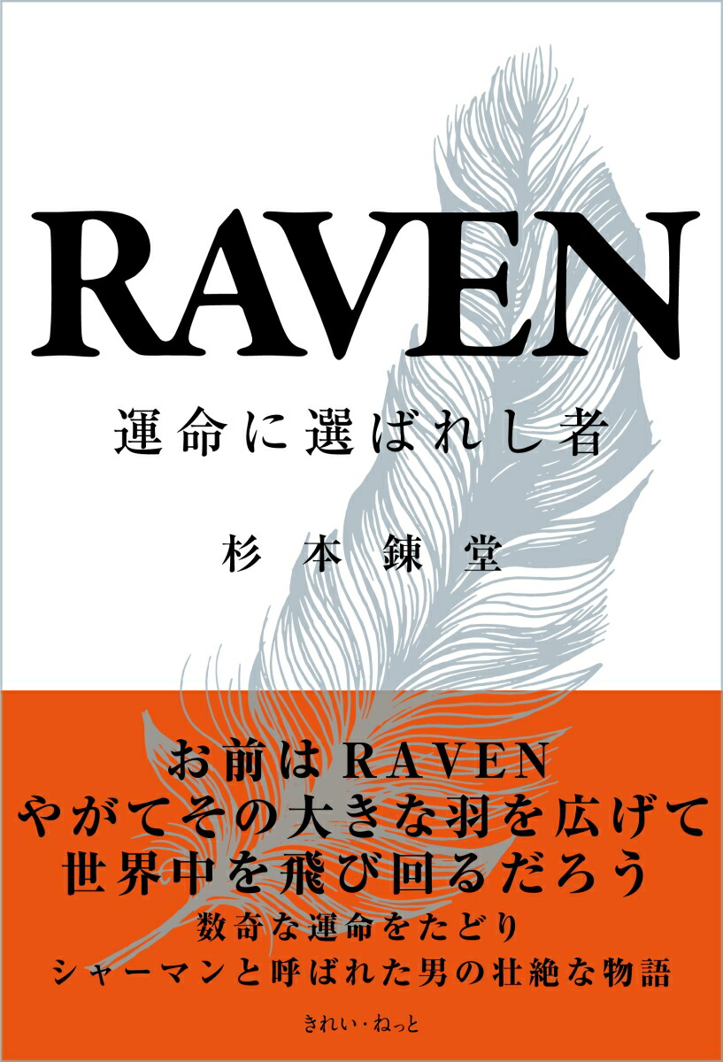 RAVEN 運命に選ばれし者画像