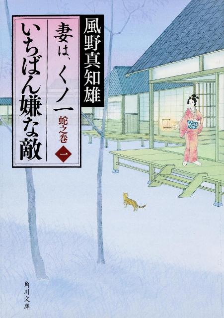 21冊 本 風野真知雄 井川香四郎 和田はつ子 鈴木英治 米村圭伍 池上永