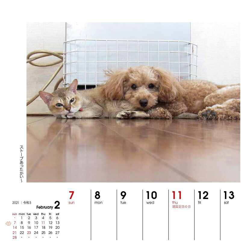 週めくりカレンダー犬猫といっしょ（2021）（［カレンダー］）