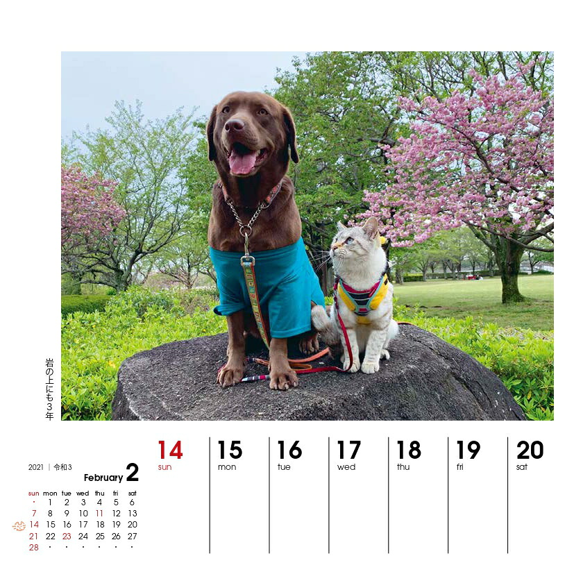 週めくりカレンダー犬猫といっしょ（2021）（［カレンダー］）