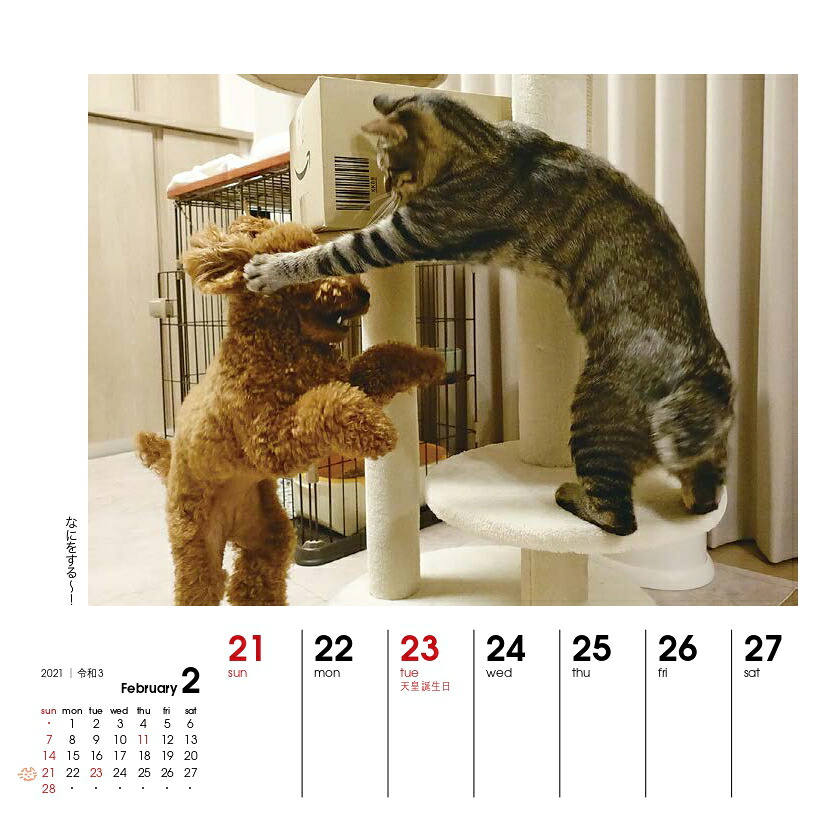 週めくりカレンダー犬猫といっしょ（2021）（［カレンダー］）