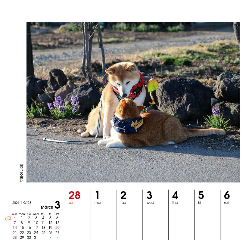 週めくりカレンダー犬猫といっしょ（2021）（［カレンダー］）