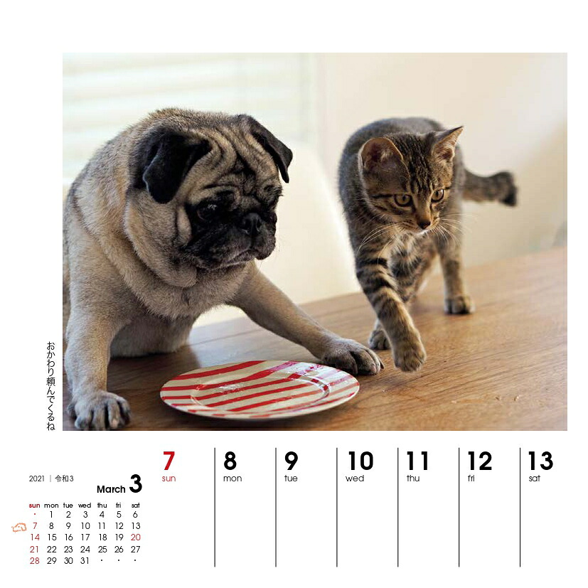 週めくりカレンダー犬猫といっしょ（2021）（［カレンダー］）