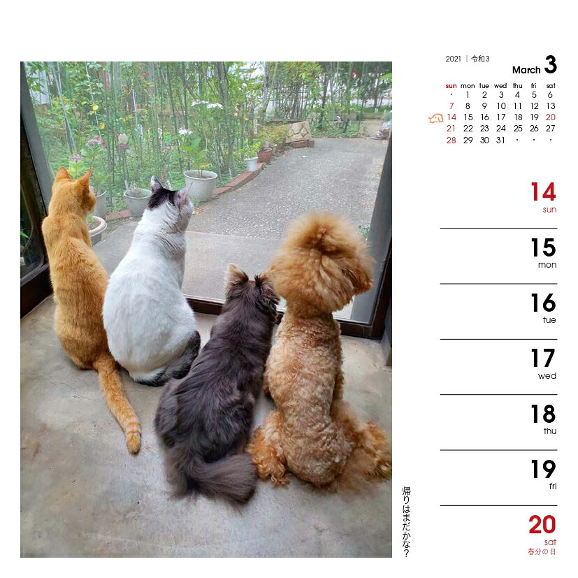 週めくりカレンダー犬猫といっしょ（2021）（［カレンダー］）