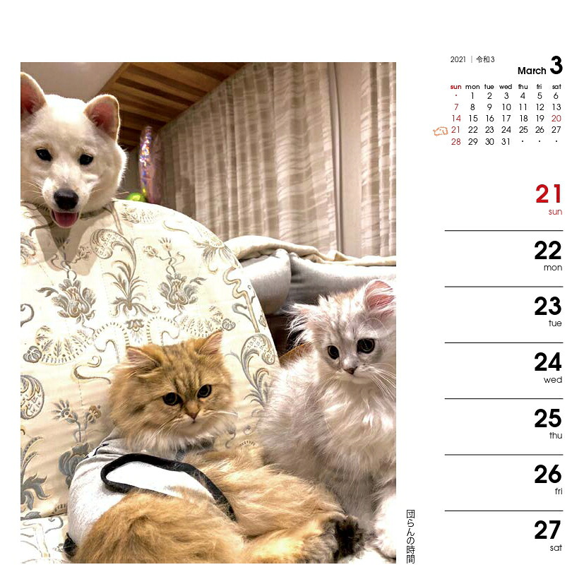 週めくりカレンダー犬猫といっしょ（2021）（［カレンダー］）