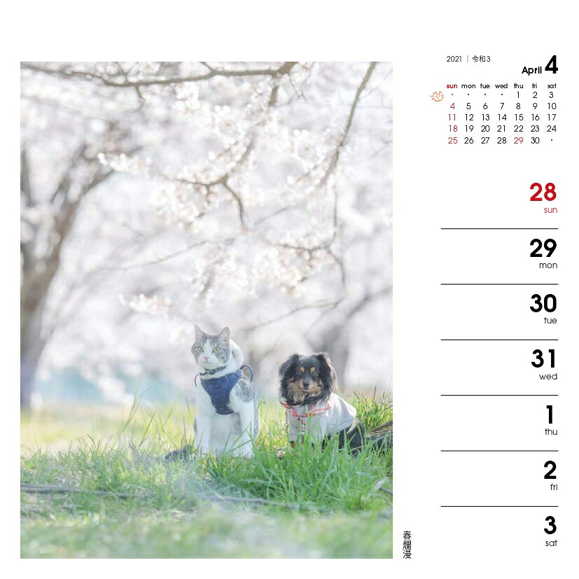週めくりカレンダー犬猫といっしょ（2021）（［カレンダー］）
