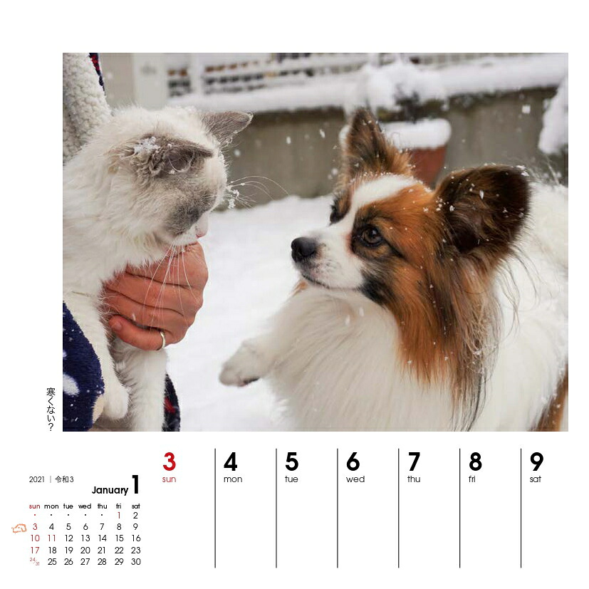 週めくりカレンダー犬猫といっしょ（2021）（［カレンダー］）