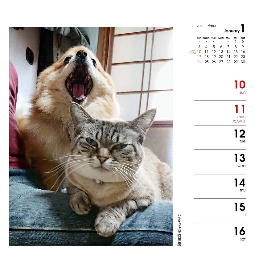 週めくりカレンダー犬猫といっしょ（2021）（［カレンダー］）