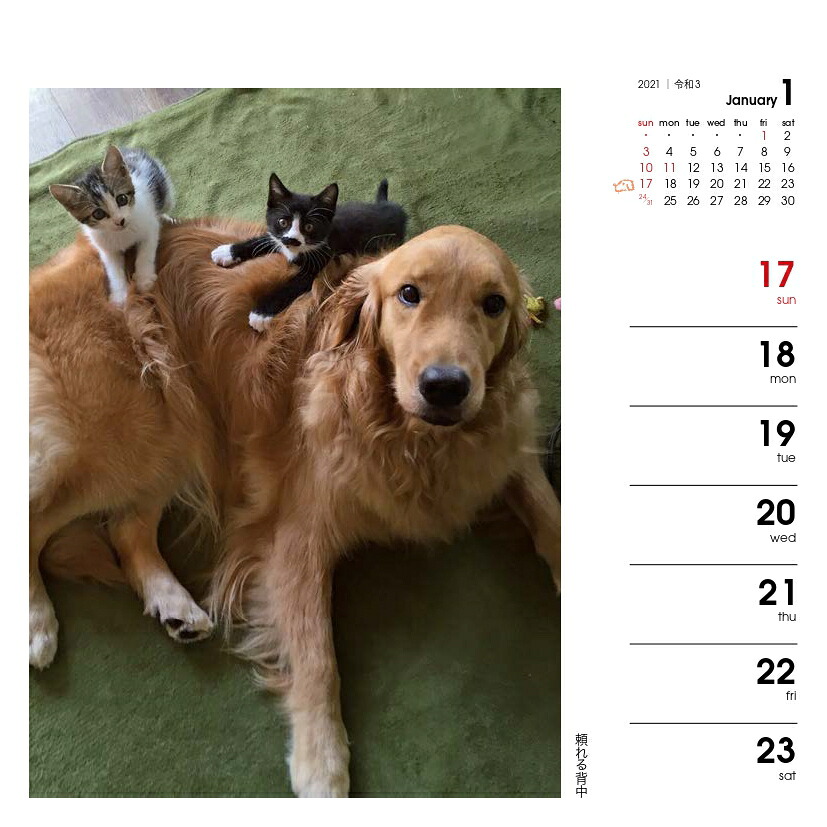 週めくりカレンダー犬猫といっしょ（2021）（［カレンダー］）