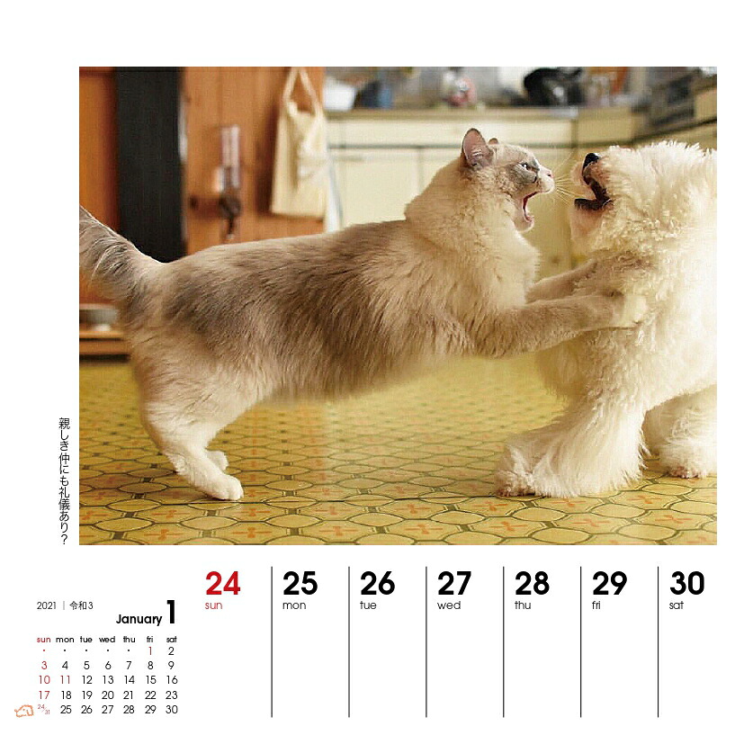 週めくりカレンダー犬猫といっしょ（2021）（［カレンダー］）