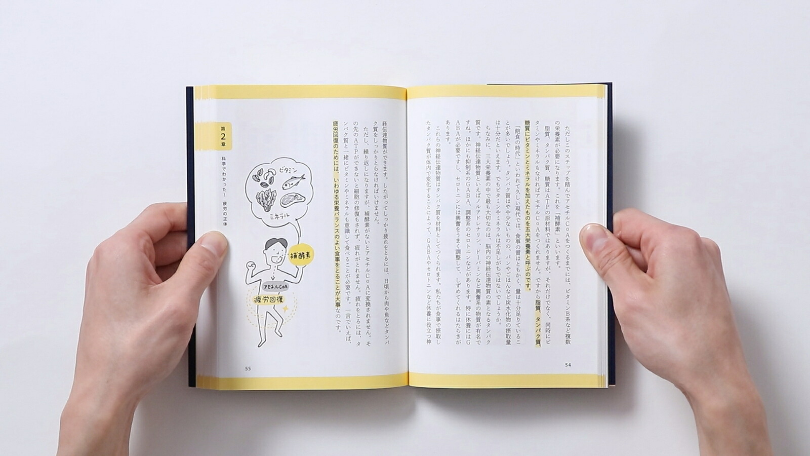 休養学あなたを疲れから救う[片野秀樹]