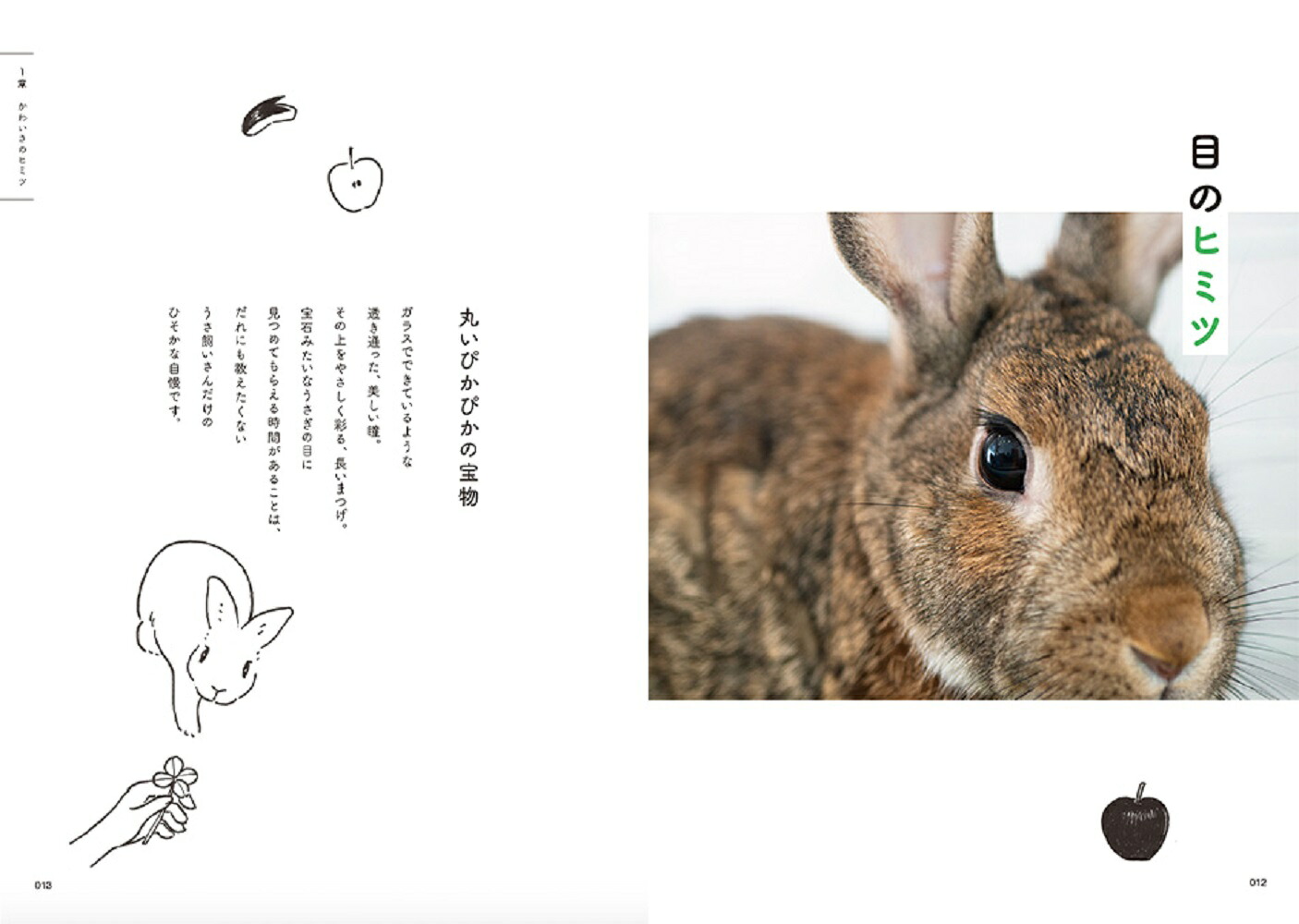 うさぎのヒミツ[樋口悦子]