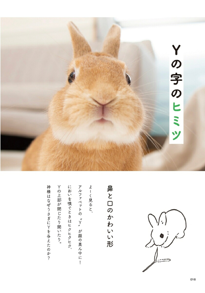 うさぎのヒミツ[樋口悦子]