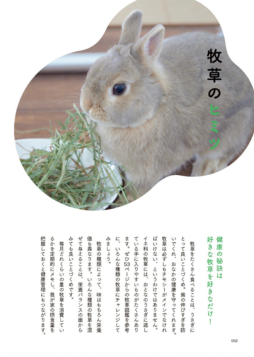 うさぎのヒミツ[樋口悦子]