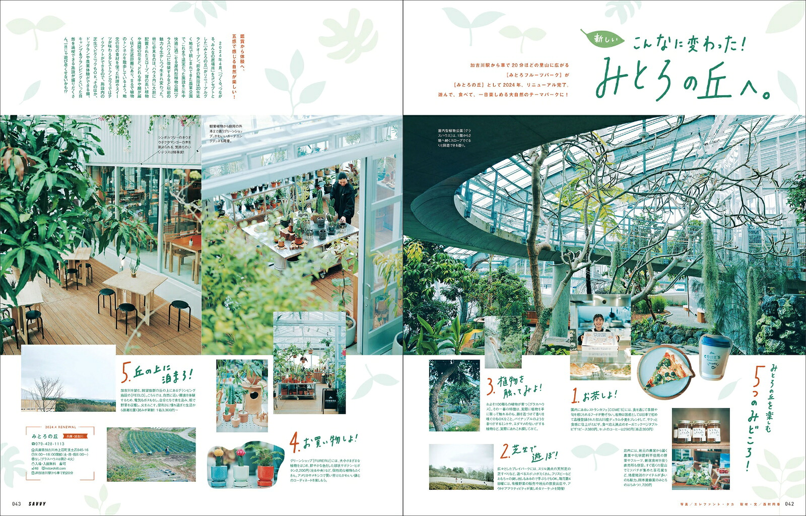 京阪神から行く日帰り旅1泊2日旅」（エルマガMOOKSAVVY別冊）