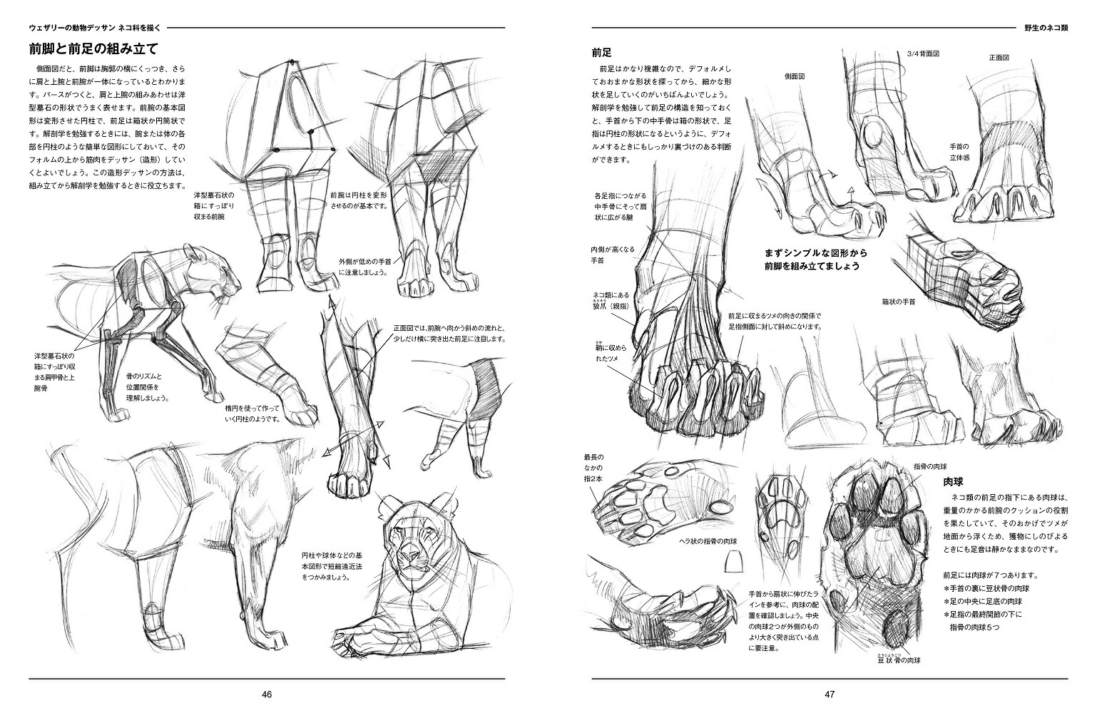 �������꡼��ưʪ�ǥå���ͥ��ʤ�����[���硼���������꡼]