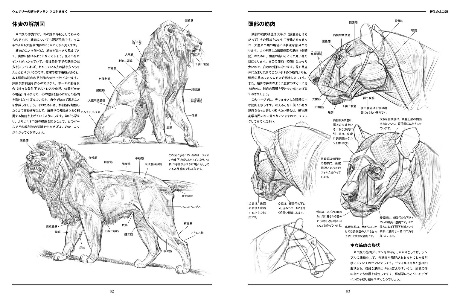 �������꡼��ưʪ�ǥå���ͥ��ʤ�����[���硼���������꡼]