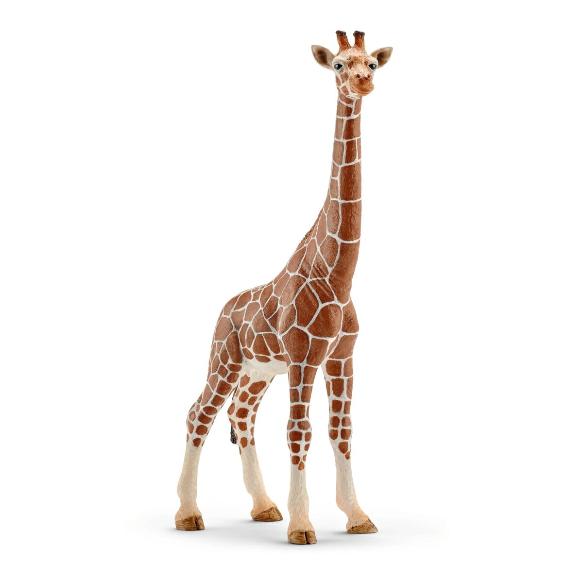 ワイルド Amazon.com: Fantarea Realistic Wild Animal Model Spiny