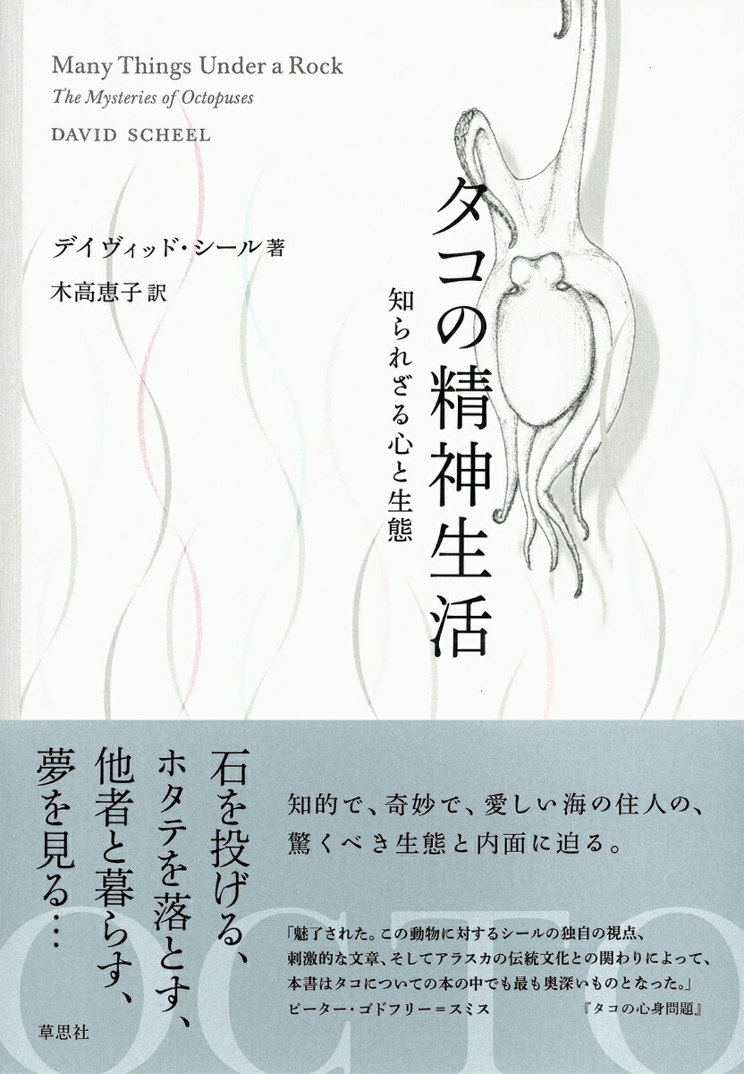 ���������������Τ�줶�뿴������[�ǥ������åɡ�������]