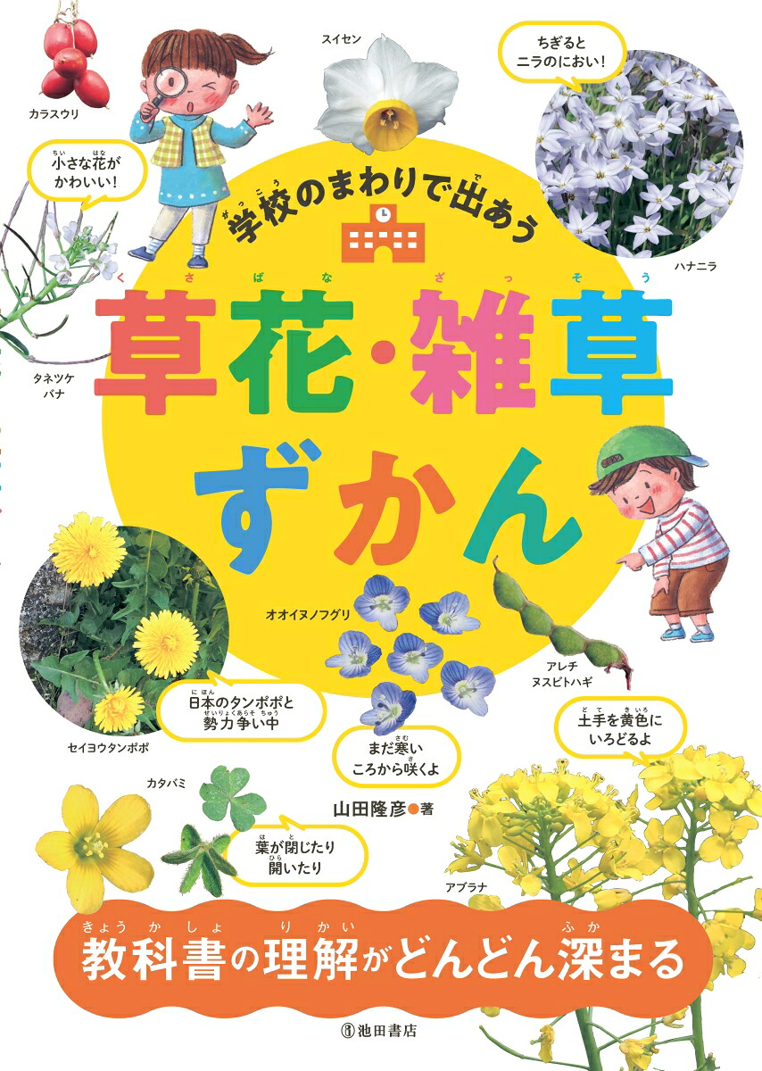 学校のまわりで出あう草花・雑草ずかん[山田隆彦]