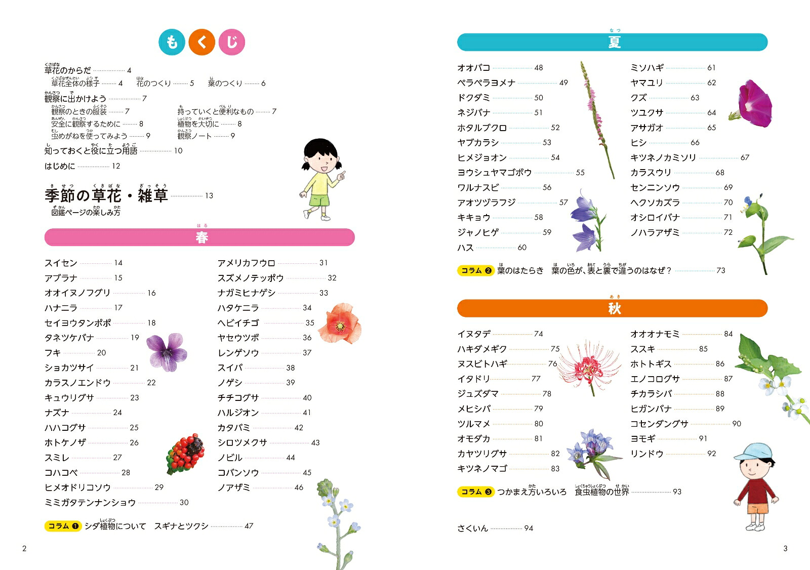 学校のまわりで出あう草花・雑草ずかん[山田隆彦]