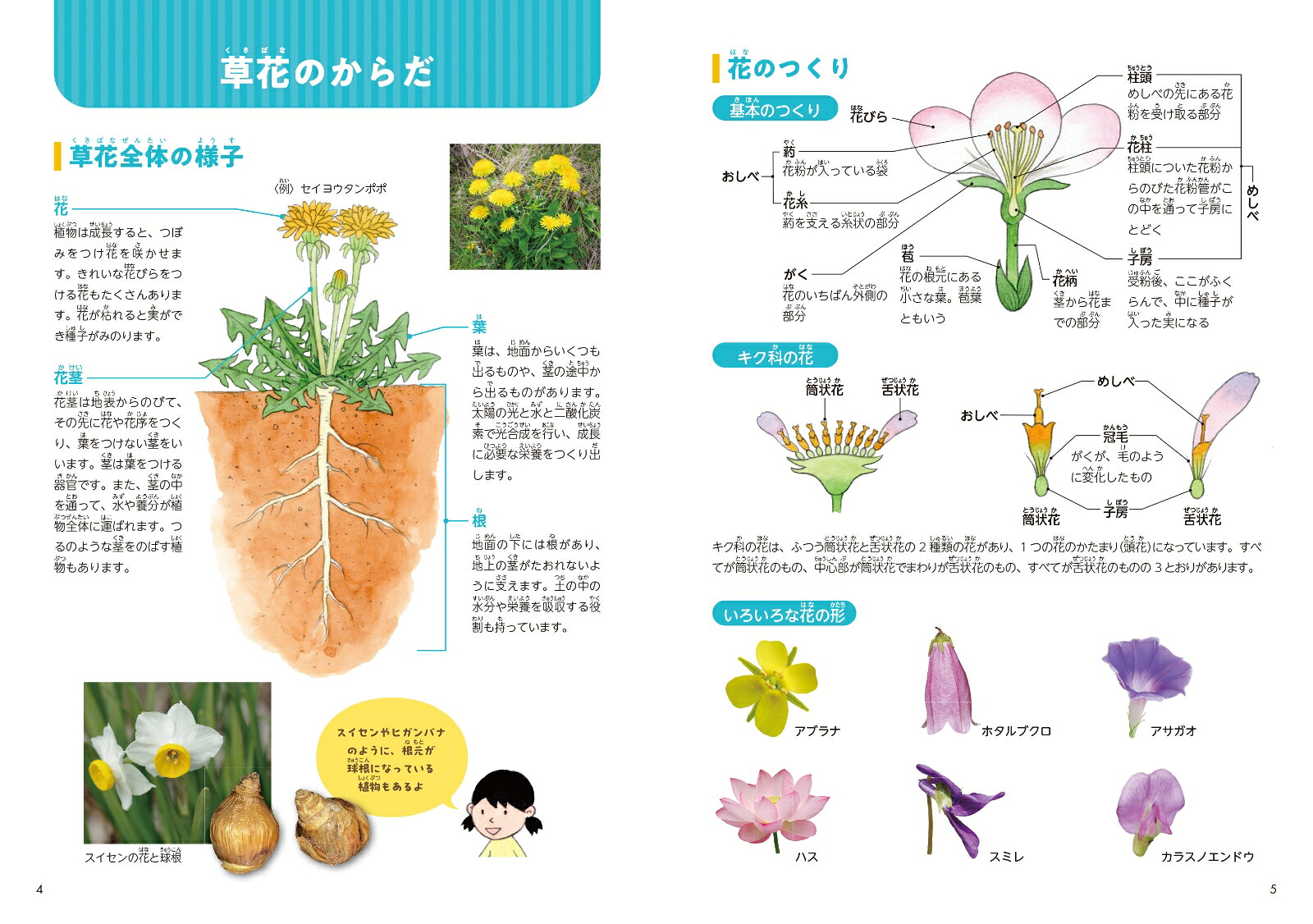 学校のまわりで出あう草花・雑草ずかん[山田隆彦]