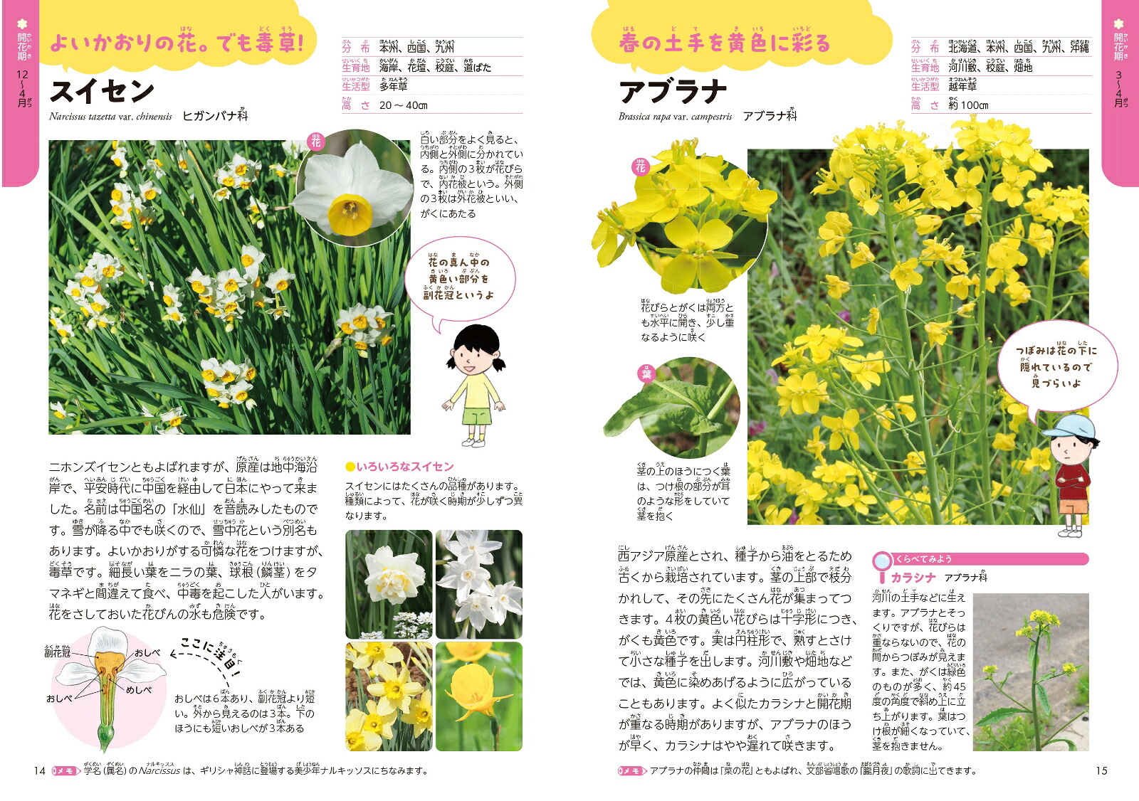 学校のまわりで出あう草花・雑草ずかん[山田隆彦]
