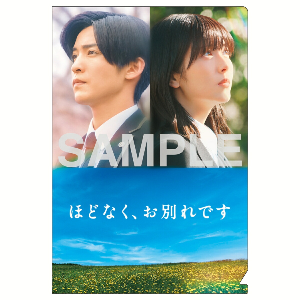 【楽天ブックス限定配送パック】【先着特典】ほどなく、お別れです豪華版【Blu-ray】(A5クリアファイル)[目黒蓮]