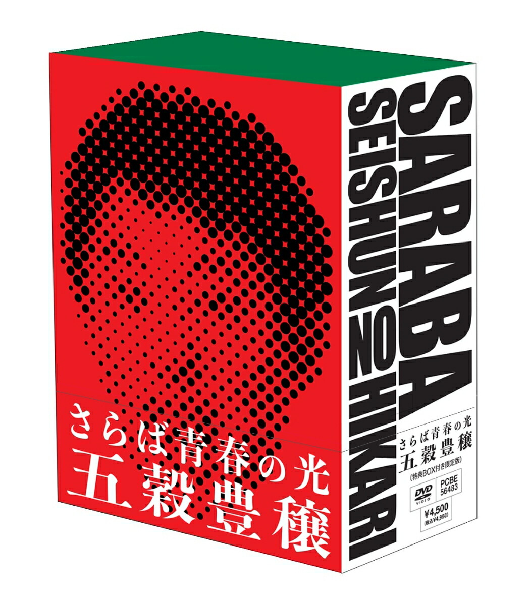 さらば青春の光 DVD 野良野良野良 帰社 - タレントグッズ