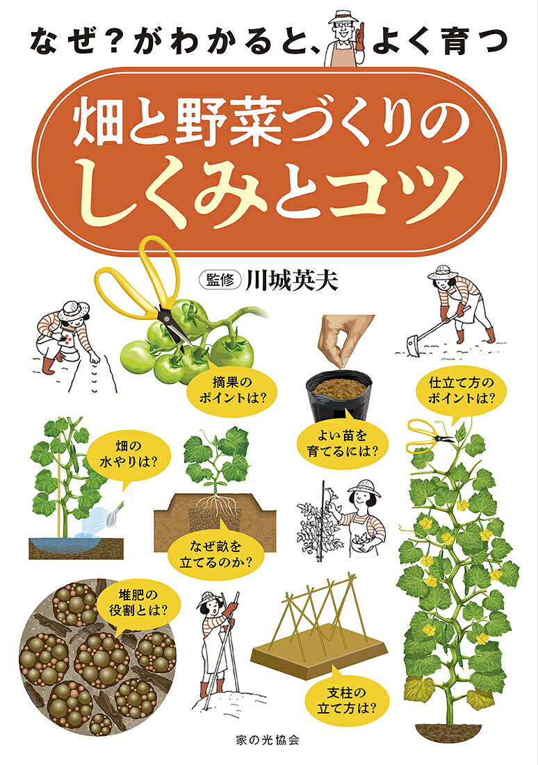 畑と野菜づくりのしくみとコツなぜ？がわかると、よく育つ[川城英夫]