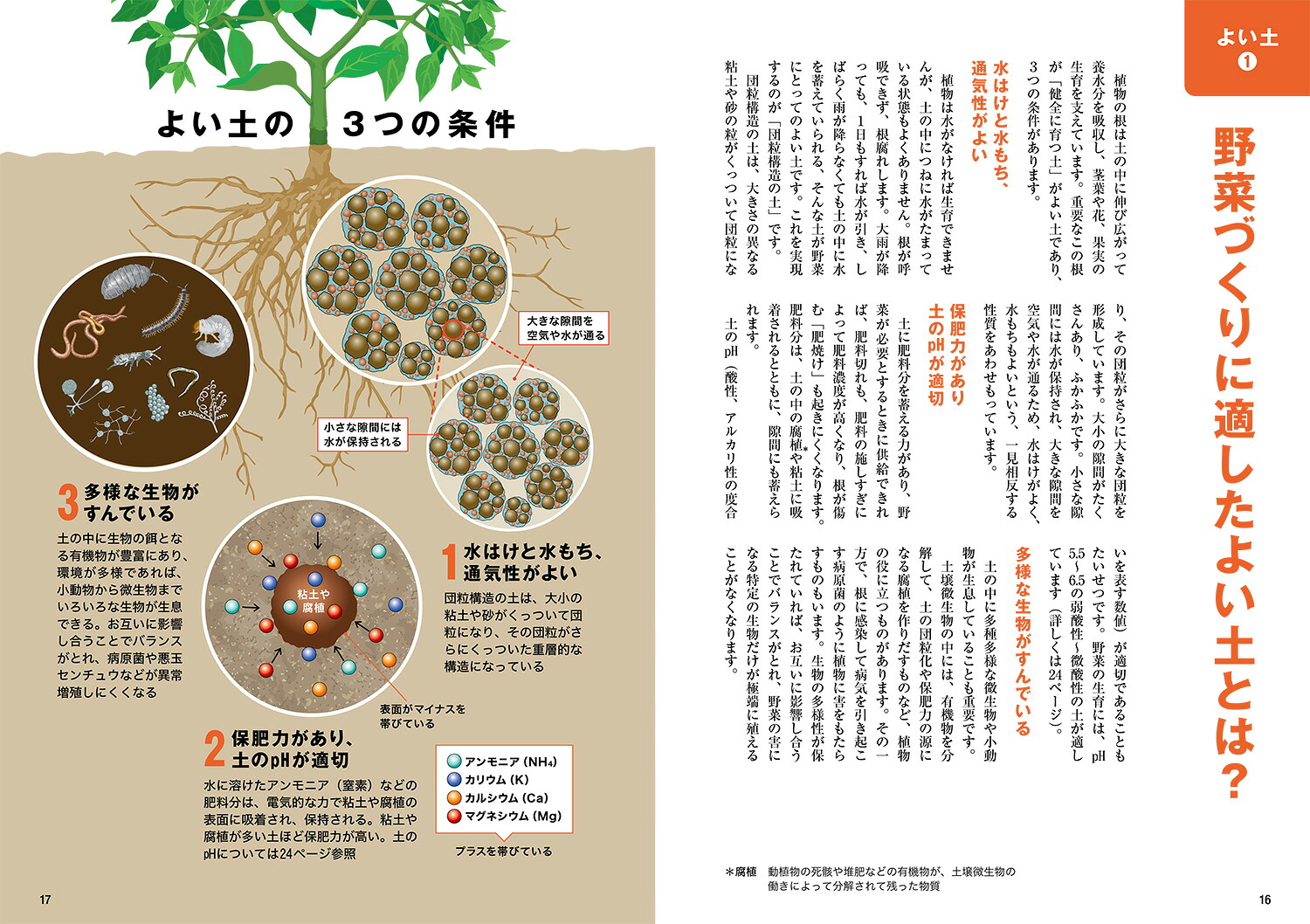 畑と野菜づくりのしくみとコツなぜ？がわかると、よく育つ[川城英夫]