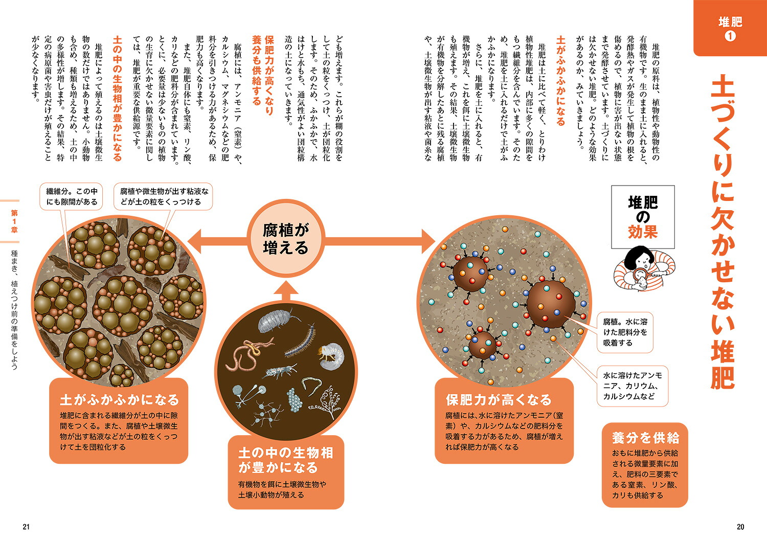 畑と野菜づくりのしくみとコツなぜ？がわかると、よく育つ[川城英夫]