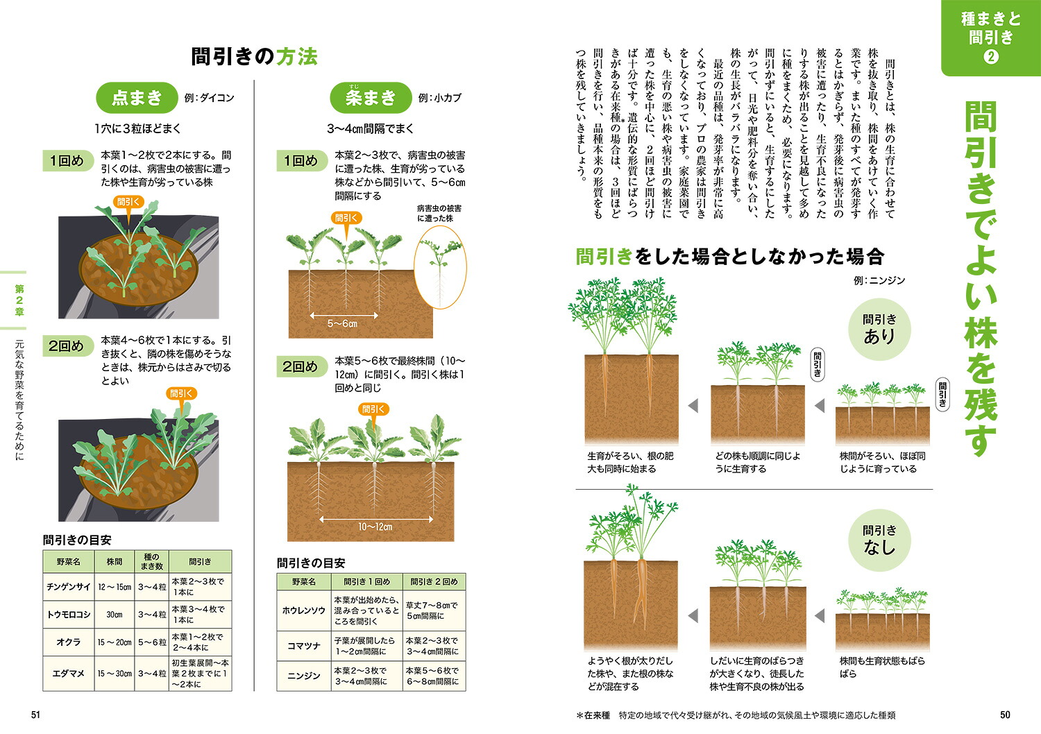 畑と野菜づくりのしくみとコツなぜ？がわかると、よく育つ[川城英夫]