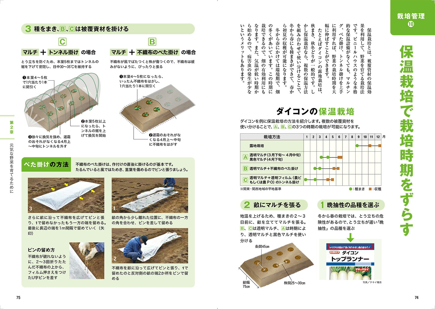 畑と野菜づくりのしくみとコツなぜ？がわかると、よく育つ[川城英夫]
