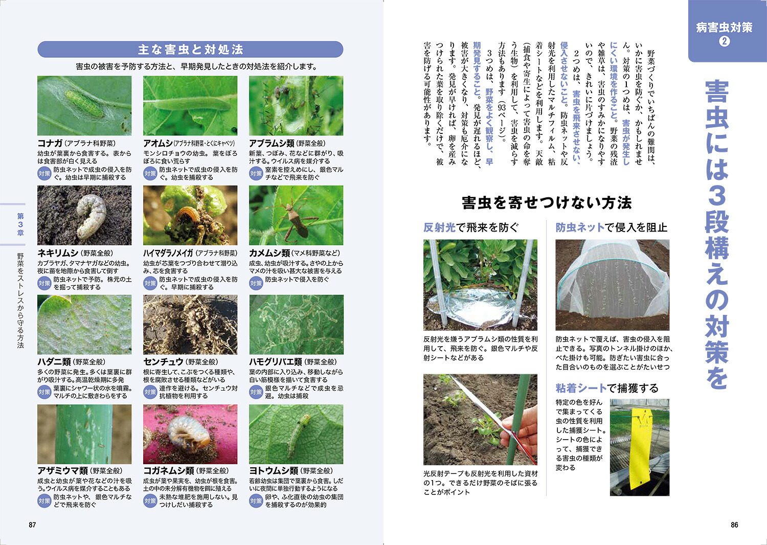畑と野菜づくりのしくみとコツなぜ？がわかると、よく育つ[川城英夫]